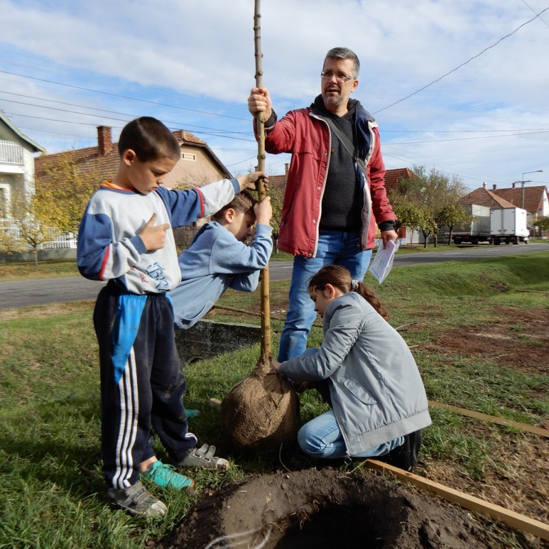 Közösségi faültetés Berettyóújfaluban 40